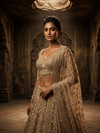 Full back profile of the beige golden lehenga outfit, highlighting the structured drape of the net skirt and the elegant sheer back design of the choli.